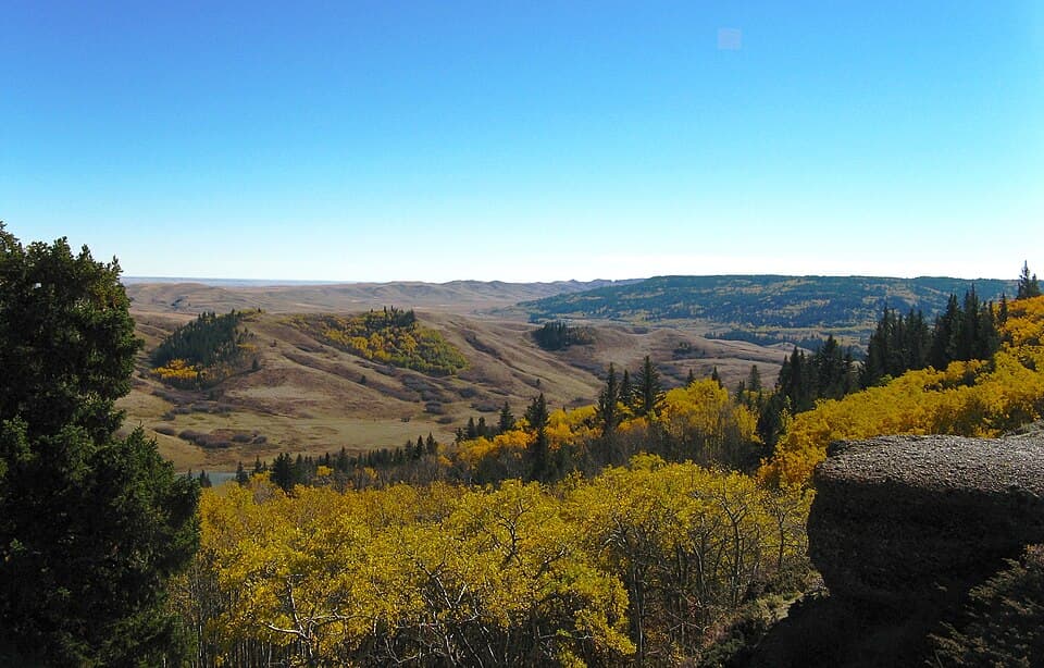 Mixed terrain camping at Cypress Hills Provincial Park showing diverse landscape